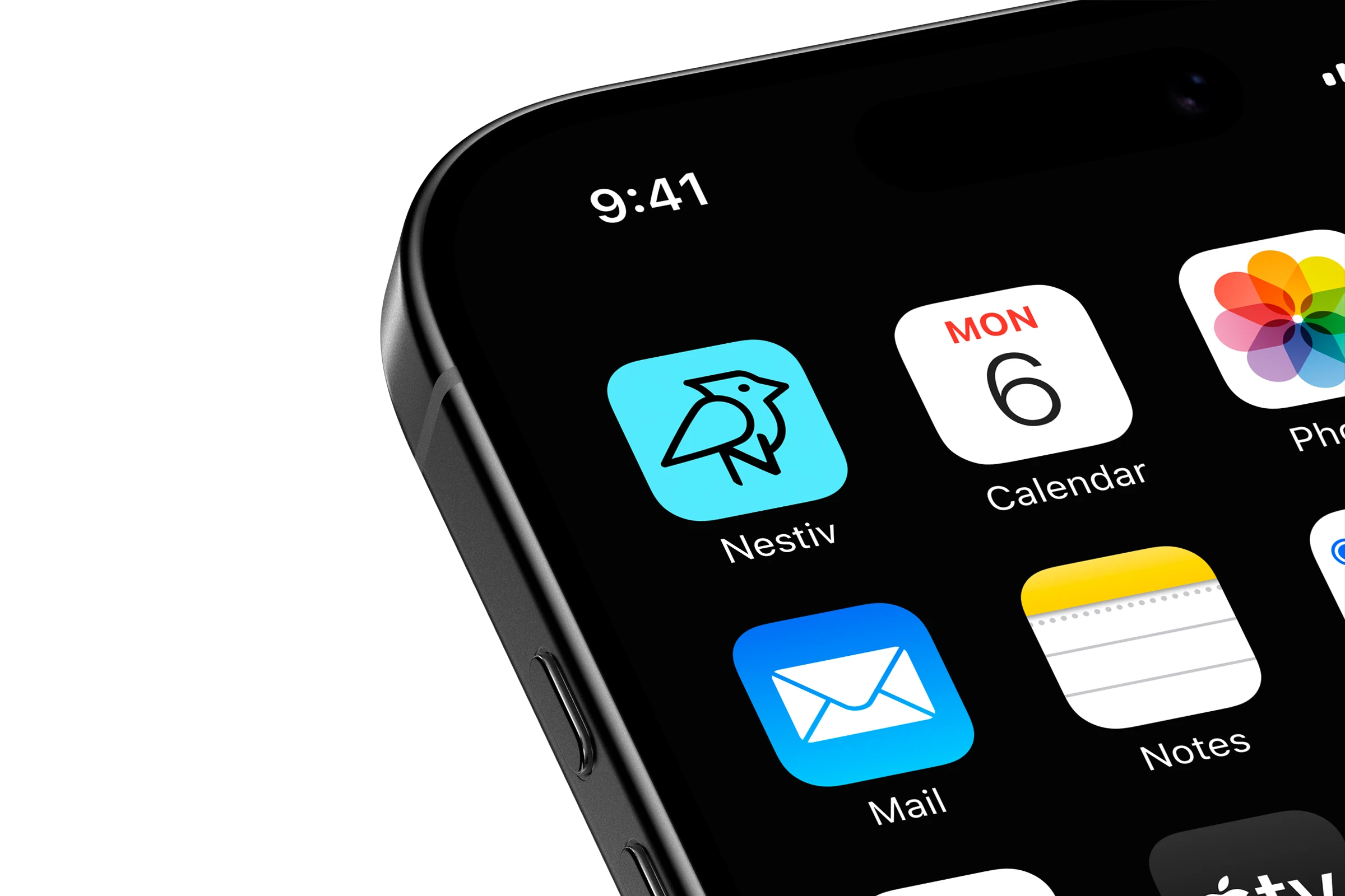 Nestiv.com - Image 2