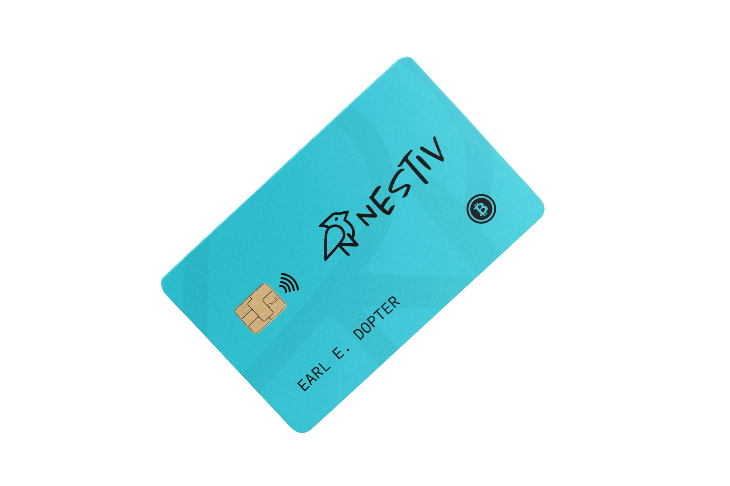 Nestiv.com - Image 4