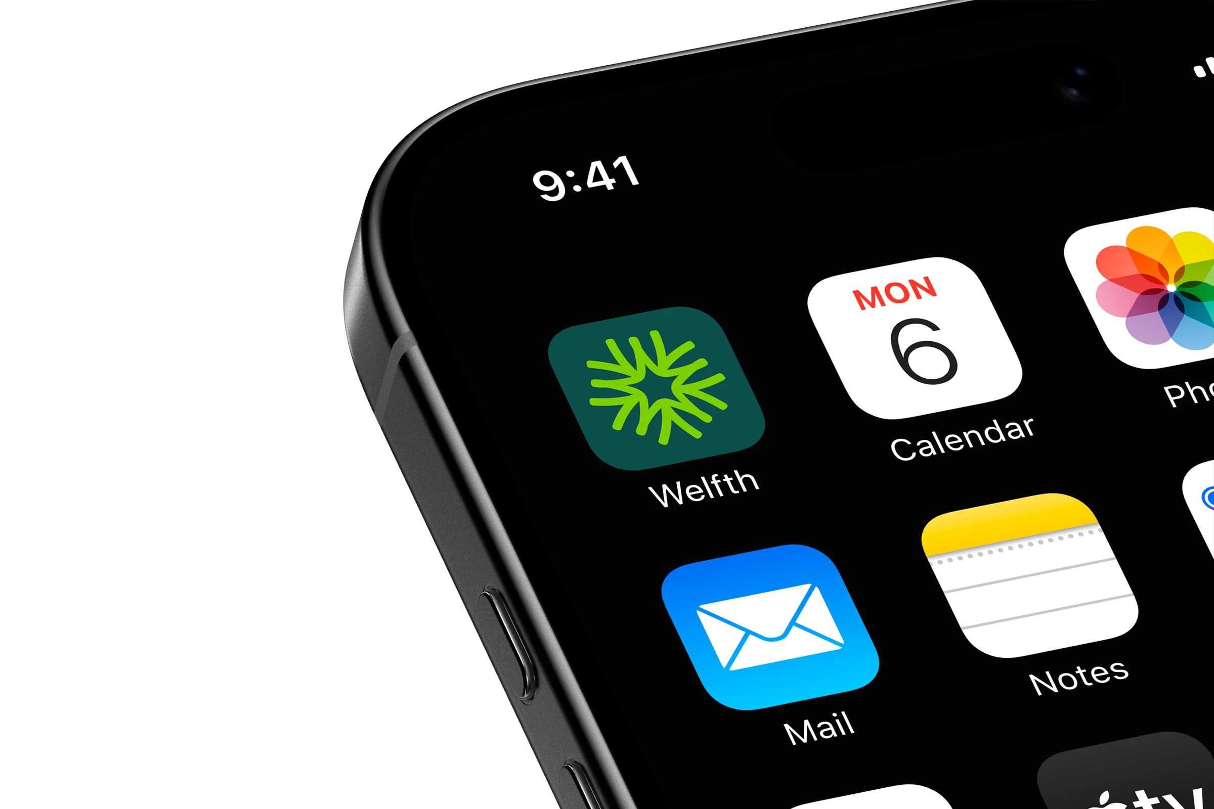 Welfth.com - Image 2